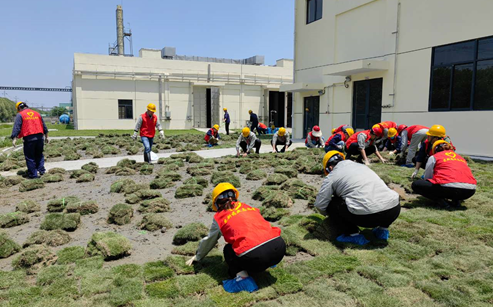 1687913050195354cLp0.png image.png