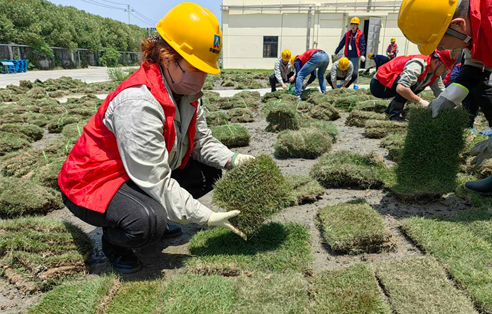 1687913060330093fFdy.png image.png